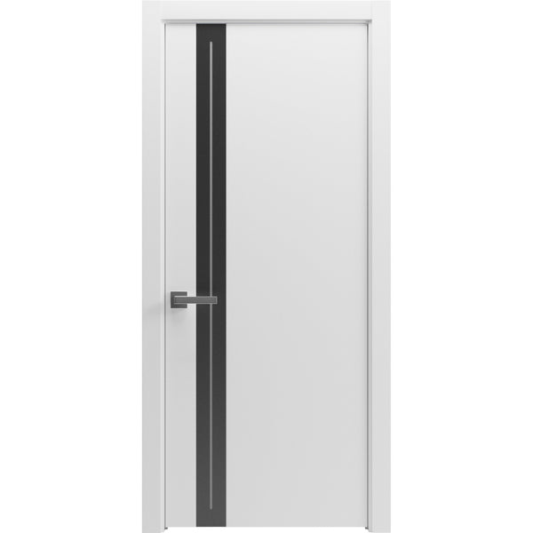 Hidden Barn Door