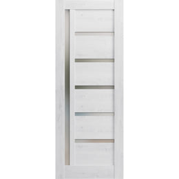 Slab Barn Door Panel Frosted Glass | Quadro 4088 | Sturdy Finished Doors | Pocket Closet Sliding