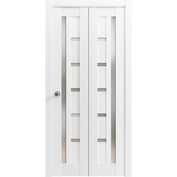 Bi-Fold Double Door