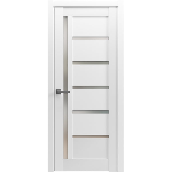 Swing Door