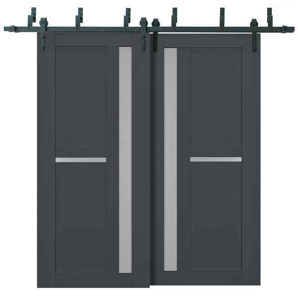 Interior Barn Bypass Doors – Homenetics