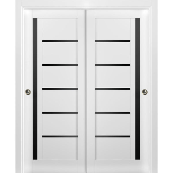 Interior Closet Bypass Door | Quadro 4588 | Hinges Handle