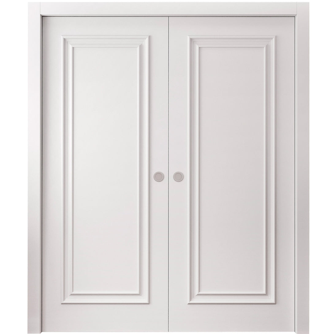 Interior Double Pocket Door | Royal 9811 | Hinges Handle – Homenetics