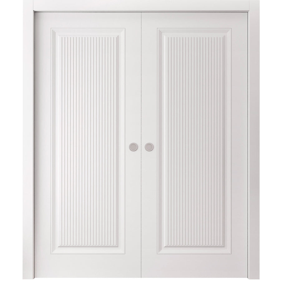Interior Double Pocket Door | Royal 9888 | Hinges Handle